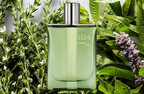 hermes h24 herbes vibes